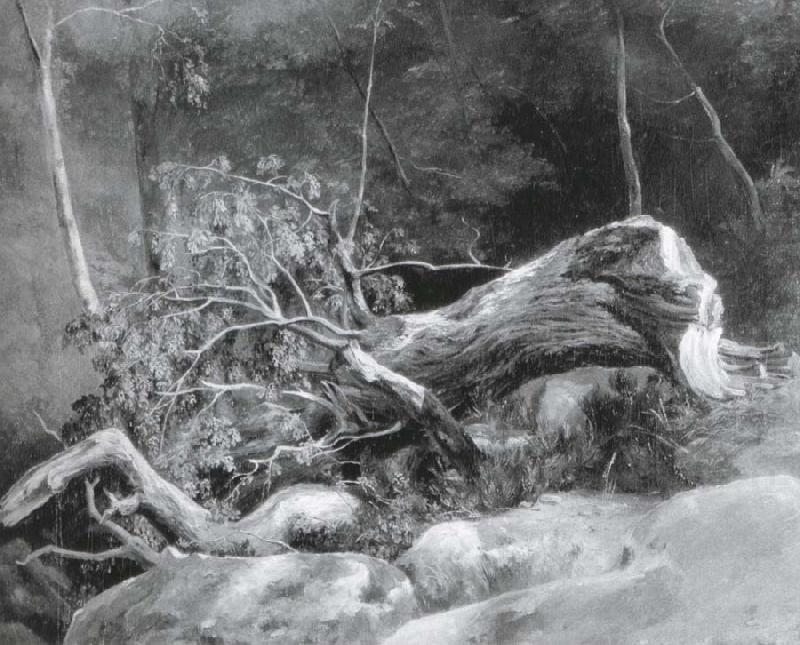 The Fallen Branch,Fontainebleau, Achille-Etna Michallon